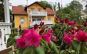 Ferienwohnung Casa Casimir Mit Elbblick, Balkon Und Grossen Garten